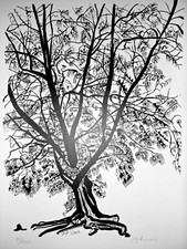 Michael Adams - "Casnarina"