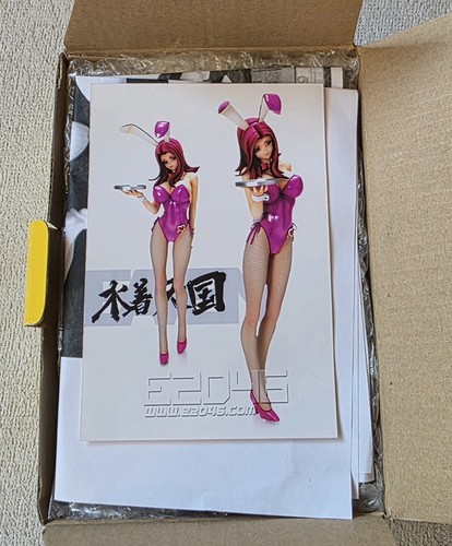 E2046 scale model kit - e2046,