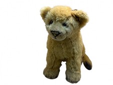 Kösen Tier Löwe Jungtier