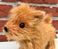 Kösen 4651 Yorkshire Terrier