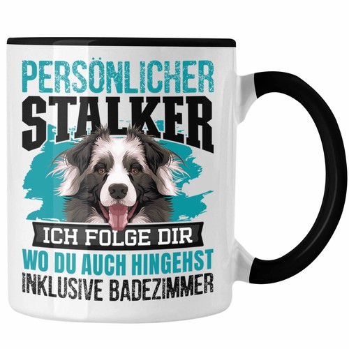 Trendation border collie - trendation,
