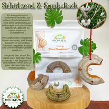 Pilz Schutzamulett aus