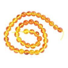 Synthetische Bernstein Runde