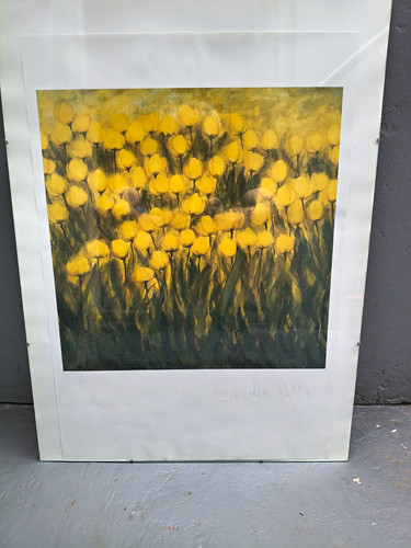 Graciela heyn signierter - heyn,