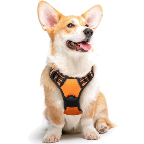 Hundegeschirr mittelgröße - hundegeschirr,