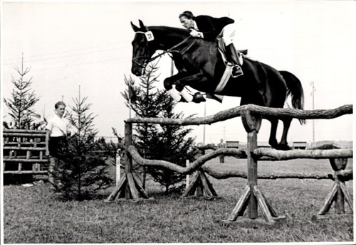 Foto springreiten sprung - springreiten,,