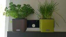 LECHUZA® Pflanzgefäße CUBE Color Green Wall Home 