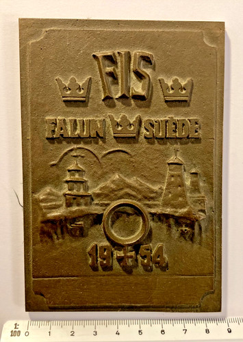 Fis plakette nordische ski - plakette,