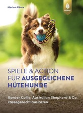 Spiele und Action für