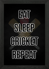 Essen Schlaf Cricket