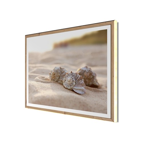 Wandbild gerahmt muscheln - gerahmt,