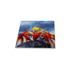 Herdabdeckplatte Ceran 1