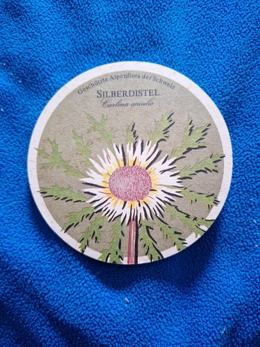 Bierdeckel silberdistel - bierdeckel,