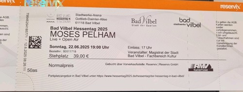 Moses pelham konzert open air - pelham,