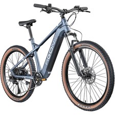 Agon Alpha E Mountain Bike