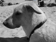 TomTom Start 2 IQ Routes Central Europe Traffic Navigationssystem