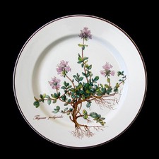 Frühstücksteller mit Wurzel  mit Gebrauchsspuren - Botanica - Villeroy & Boch