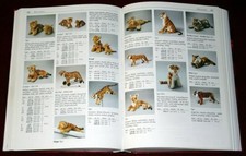 Steiff Sortiment 1947 - 1999