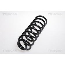 Triscan feder hinten für - hinten,