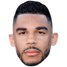 Evander Kane (Beard) Maske aus