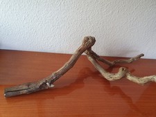 Ast Deko Terrarium Aquarium Basteln Dekoration