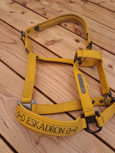 Halfter warmblut eskadron - halfter,