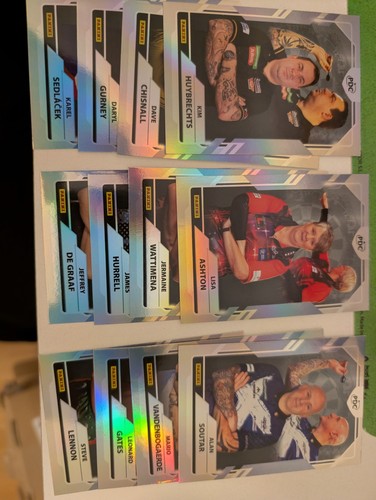 Panini pdc world darts - panini,