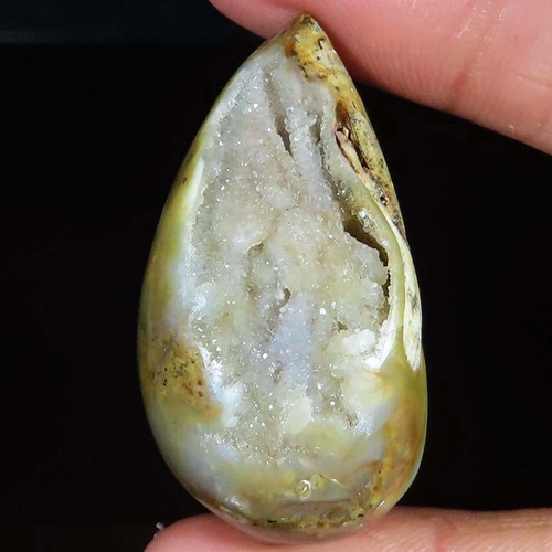 Natürlich fossil schnecke - natürlich,