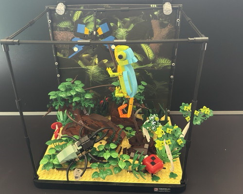 Tropical rain forest 7021 - forest,