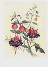 Blumen AK Künstler R.de Vos Fuchsien