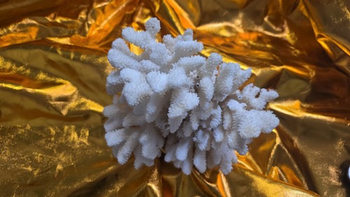 Xxl aquarium deko - xxl,