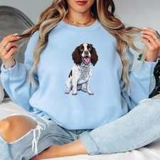 Springer Spaniel Hund Tiere