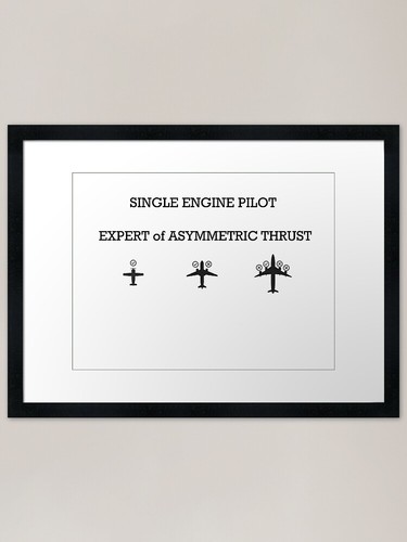 Single engine pilot expert - single, of