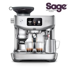 Sage the Oracle Jet Edelstahl