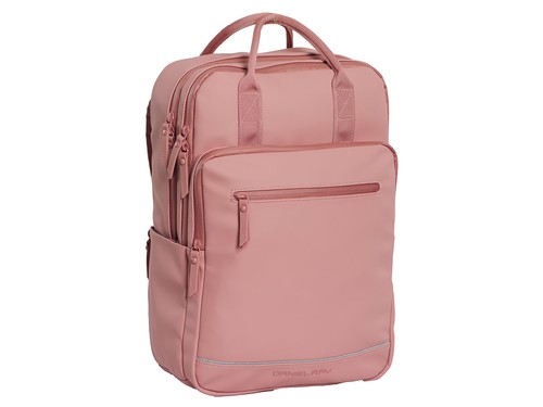 Daniel ray drs25 1696 - daniel, drs25.1696