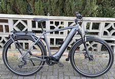 Radon Relate 8.0 Trekking