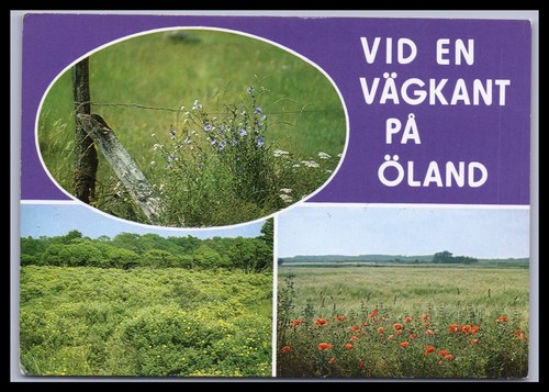 Ansichtskarte öland - ansichtskarte,