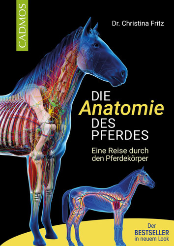 Die anatomie des - die, pferdes