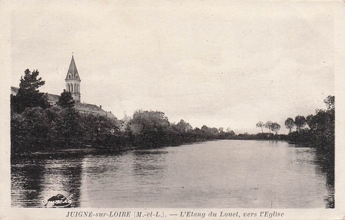 Juigne sur loire etang du - sur,