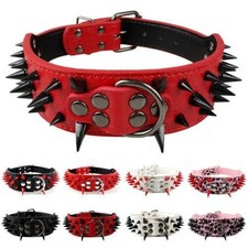 5cm Breit Hundehalsband Leder