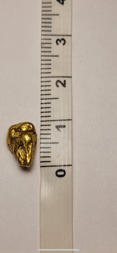 Alaska yukon goldnugget - alaska,