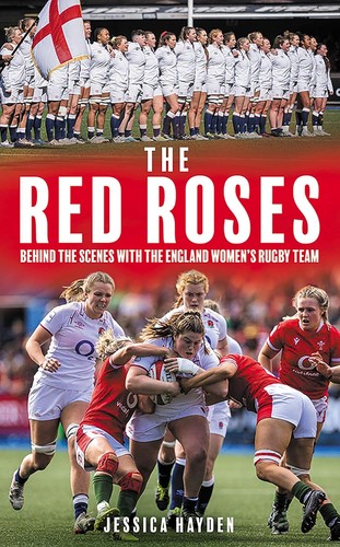The red roses behind - red, roses: