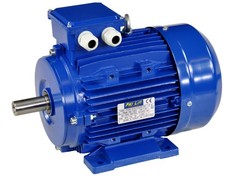 Elektromotor 4kW 2900rpm