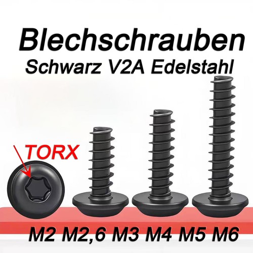 Blechschrauben torx flachkopf - blechschrauben,