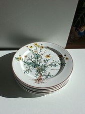 Villeroy Boch Botanica
