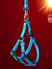 hochwertiges gepolstertes 🐶