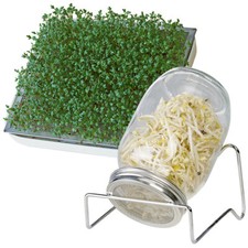 Keimglas mit Metall-Ständer