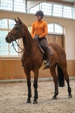 HKM Allure Vollbesatz Reithose