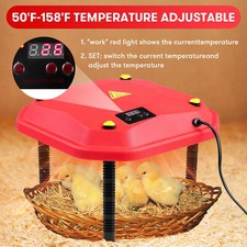 Küken Wärmeplatte 25x25cm