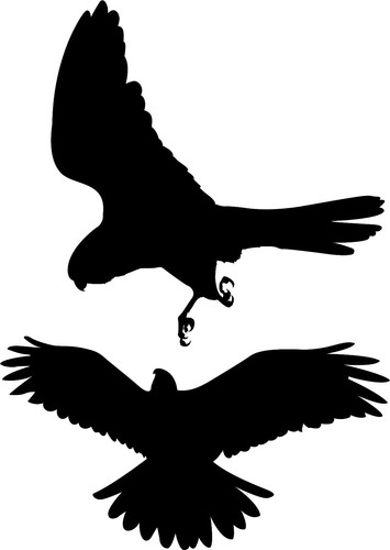 Vögel greifvogel aufkleber - aufkleber, 2